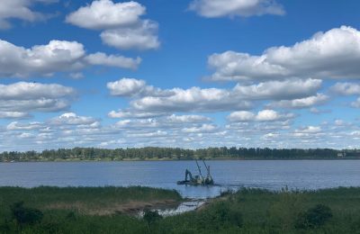 4000 тонн пеляди выловили в Новосибирской области с начала года