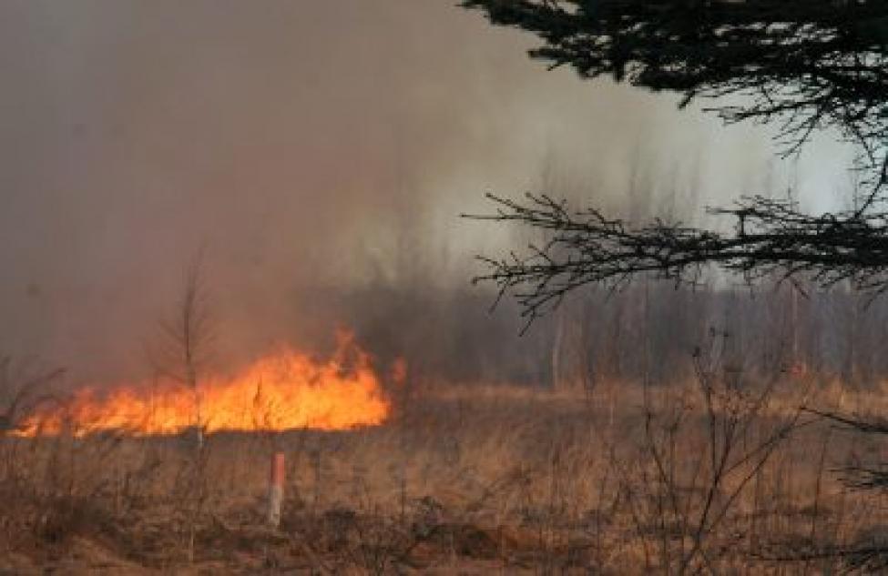 Ситуация с ландшафтными пожарами в Кочковском районе остается напряженной