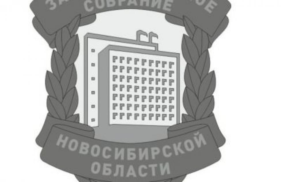 Три медика и специалист ТИК Кочковского района награждены ЗакСобранием НСО