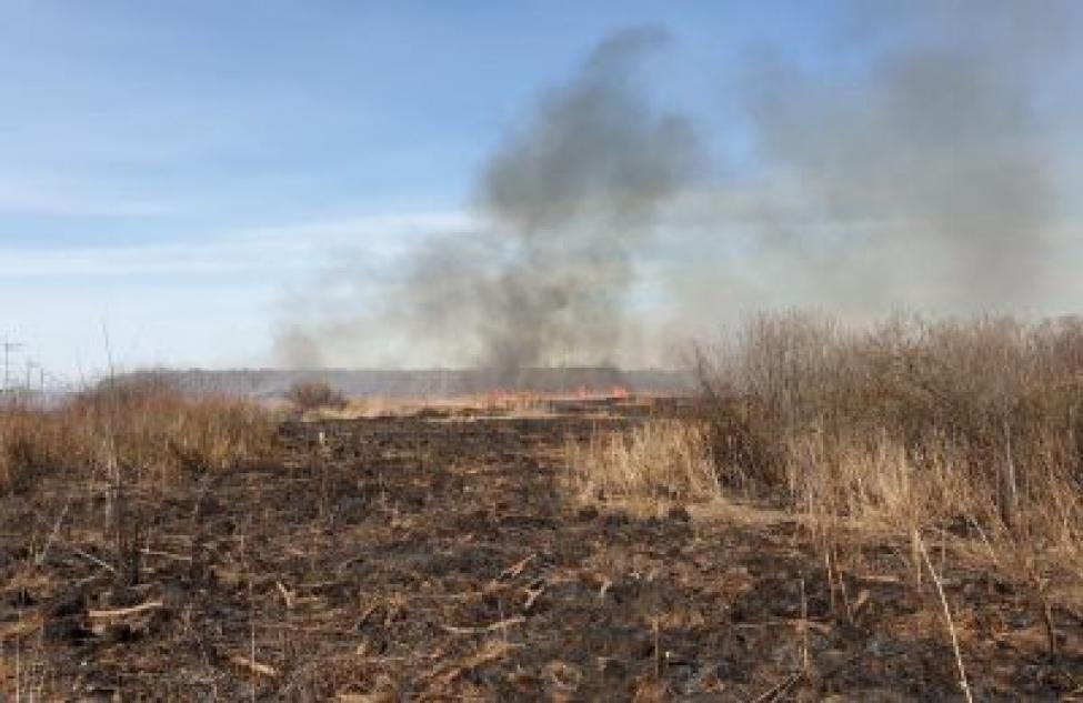 Сельхозпроизводители Кочковского района нарушили требования пожарной безопасности