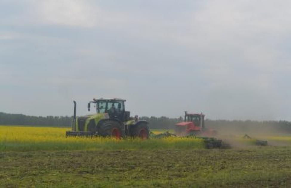 Аграрии Новосибирской области планируют намолотить более 3 миллионов тонн зерна