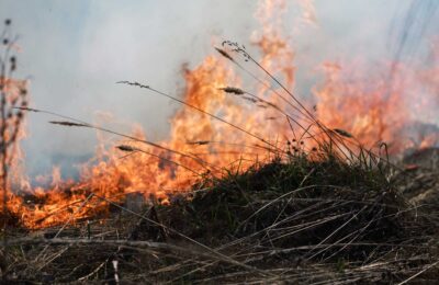 Двенадцать уголовных дел за нарушение пожарной безопасности возбуждено в Новосибирской области