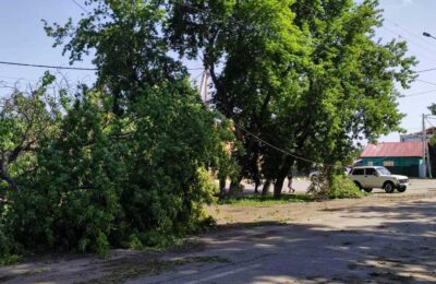 Ураган прошелся по Купинскому району – без электричества остались 20 сел