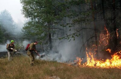 Сводный план тушения лесных пожаров утвержден губернатором Новосибирской области