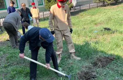 Юнармейцы Кочковской школы высадили деревья в память о погибших воинах