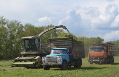 В Кочковском районе продолжается заготовка сенажа