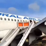Самолет «Уральских авиалиний» совершил экстренную посадку в Убинском районе