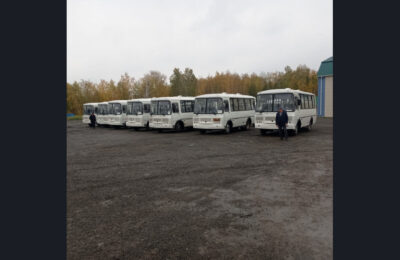 Районы Новосибирской области до конца года получат рекордное количество новых автобусов