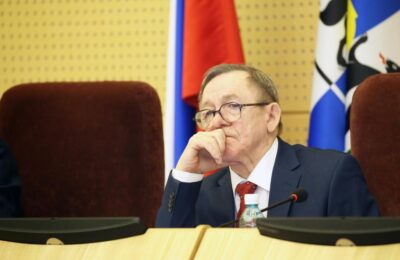 Депутаты Заксобрания Новосибирской области будут бороться с треш-стримами