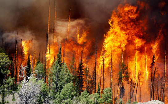 Вероятность лесных пожаров