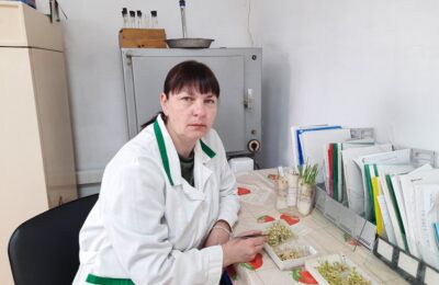 В Кочковском районе идет подготовка семян к предстоящей посевной кампании