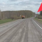 На трех участках дороги «Новосибирск – Ленинск-Кузнецкий» будут проведены ремонтные работы