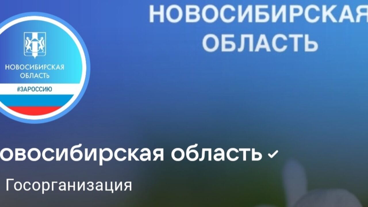 На вопросы жителей Новосибирской области ответят в официальных пабликах  органов власти - Степные зори