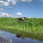 Патруль рек помогает оценить состояние дикой природы в Новосибирской области