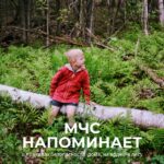 Сотрудники МЧС: Родители должны учить детей правилам безопасности