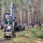 В регионе увеличили заготовку древесины благодаря современному высокотехнологичному оборудованию