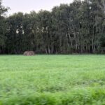 С сентября в России начнут действовать новые экологические законы