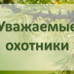 В Новосибирской области состоялось проведение выборки разрешений на добычу косули