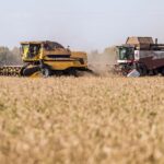 Итоги проекта «Агрозащитник» подвел глава минсельхоза НСО Шинделов