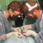 Студенты НГМУ стали победителями Международной олимпиады по хирургии