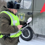 Надзор и цифровые возможности для охраны животного мира усилили в Новосибирской области