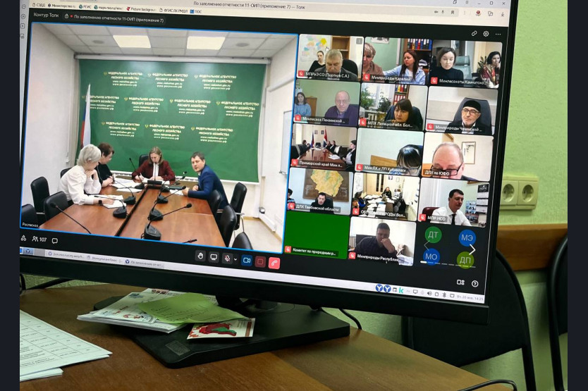 Специалисты минприроды Новосибирской области приняли участие в федеральном совещании по лесовосстановлению