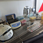 Новосибирские ученые создали ИИ-решения для диагностики растений