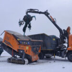 36 кубометров ёлок утилизировали в Новосибирской области за месяц