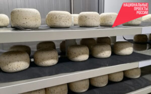 Новосибирский молочный завод повысил скорость производства сыров