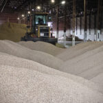 Новосибирская область укрепляет лидерство в сфере экспорта сельхозпродукции