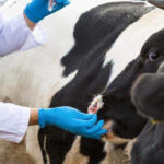 Зампредседателя правительства Новосибирской области Андрей Шинделов: в беде людей не оставим