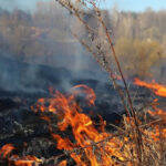 В Новосибирской области официально открыт пожароопасный сезон