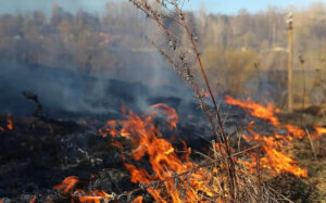 В Новосибирской области официально открыт пожароопасный сезон