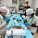 Студентка Новосибирского медколледжа победила в чемпионате «Профессионалы»