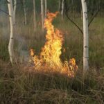 Старт пожароопасного сезона объявлен в Кочковском районе