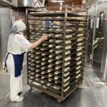 Всероссийская ярмарка трудоустройства состоится 17 апреля в Новосибирской области