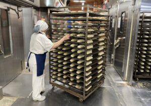 Всероссийская ярмарка трудоустройства состоится 17 апреля в Новосибирской области