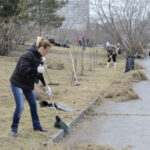 Андрей Травников призвал раньше начать весеннее благоустройство территорий