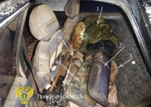 Суд конфисковал ружья и автомобиль у жителя Сузунского района за отстрел барсука и косули