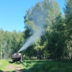 В Новосибирской области обработают более 40 тысяч гектаров леса от непарного шелкопряда