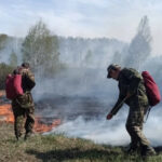 В Новосибирской области усилен мониторинг пожароопасной обстановки