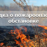 Лесопожарная обстановка в Новосибирской области по состоянию на 13 июля 2026 года