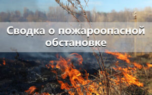 Лесопожарная обстановка в Новосибирской области по состоянию на 13 июля 2026 года