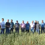 Кочковскому агроному присвоено звание «Заслуженный работник сельского хозяйства РФ»