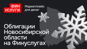 Новосибирская область впервые разместит народные облигации