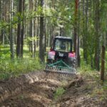 В Новосибирской области лесовосстановление выполнили на 2,3 тысячи гектаров